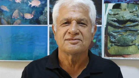 Amatör Balıkçı Köpek Balığı Yakaladı