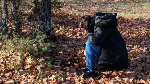 Kırklareli'nde Süne Mücadelesi Başladı