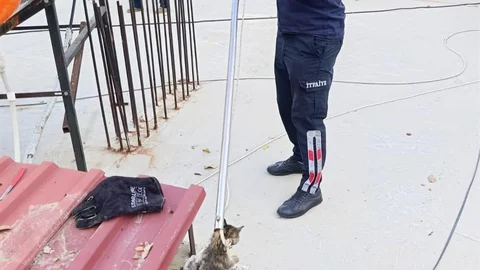 Manisa'da Bacaya Sıkışan Kedi Kurtarıldı