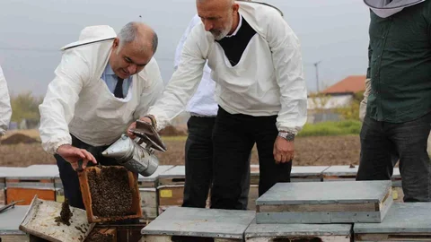Elazığ'da Arı Kovanları İncelendi