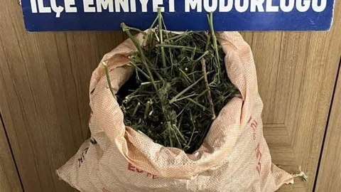 Siirt'te Uyuşturucu Yakalandı