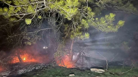 Bolu'da Orman Yangını Kontrol Altına Alındı