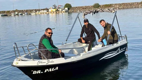 Trabzon Kıyılarında Köpek Balığı Artışı