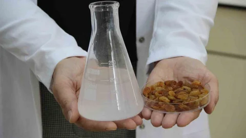 Çorum'da İhracata Bilimsel Destek