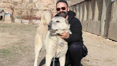 Kurtlar Sivas'ta Yerleşim Alanlarına Yaklaştı