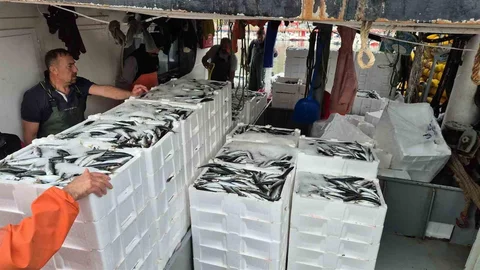 Tekirdağ'da Balıkçıların Yüzü Güldü