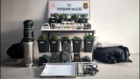 Eskişehir'de Kenevir Yetiştiren Üç Kişi Yakalandı