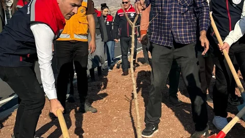 Şırnak'ta Ağaçlandırma Çalışması Yapıldı