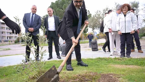 Kar Spor İda Ultra Öncesi Zeytin Fidanları Dikildi