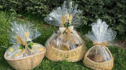 Papa 14. Leo’ya Bursa'nın Hediyeleri Sunuldu