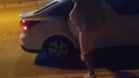 Elazığ'da Kadın Saldırısı