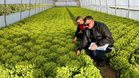 Kırklareli’nde Sera Denetimleri Başladı