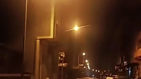 Anne Ayı ve Yavruları Karabük'te Görüntülendi