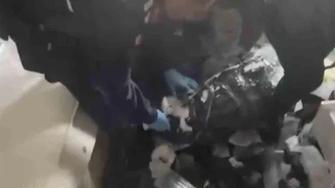 Samsun'da Uyuşturucu Operasyonu