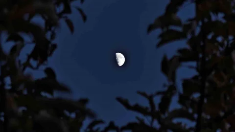 Ahlat'ta Yarım Ay Manzarası