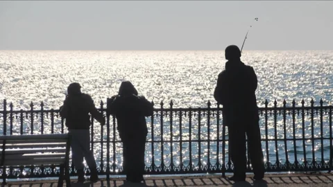 Meteorolojinin Kış Tahmini: Sıcak Geçecek, Kar Yağışı Azalacak, Bitkiler Erken Çiçek Açacak!