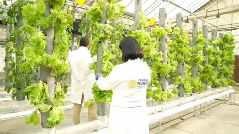 Gıda Güvenliğinde TENMAK İnovasyonu