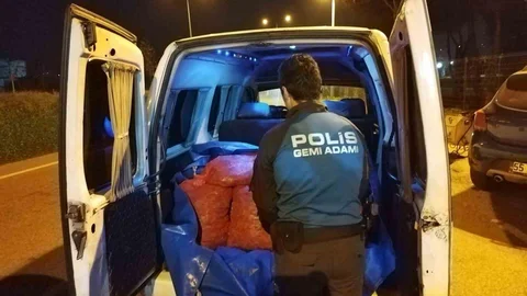 Samsun'da Kaçak Midye Operasyonu