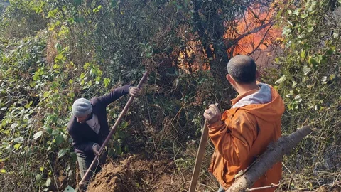 Artvin Hopa'da Yangınla Mücadele Devam Ediyor