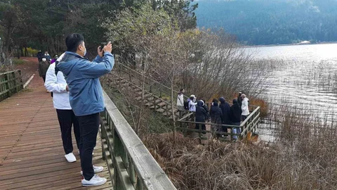 Bolu Abant Gölü'nde Ziyaretçi Yoğunluğu