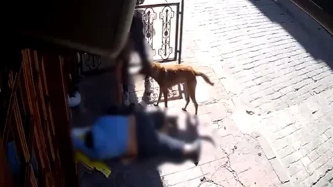 Beyoğlu'nda Hırsızlık Olayı