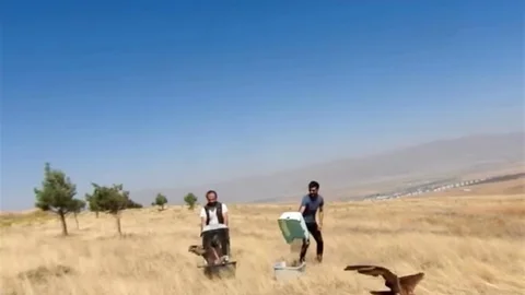 Kızıl Şahinler Doğaya Döndü