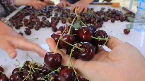 Coğrafi İşaret Günü Bursa'da Kutlanacak