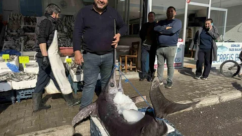 Dev kılıç balığı Dörtyol'da yakalandı