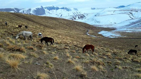 Nemrut Kalderası'nda At Sürüleri Görüntülendi