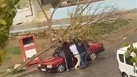 İzmir'de Ağaç Devrildi, Araç Hasar Gördü