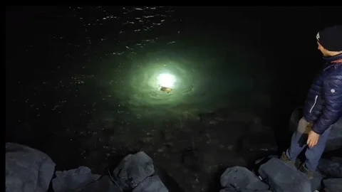 Gökçeada'da Caretta Caretta Kurtarıldı