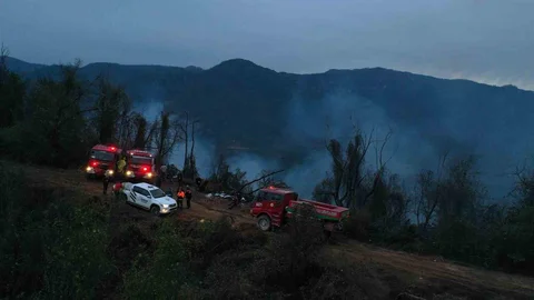 Hopa'daki Orman Yangını Kontrol Altına Alındı