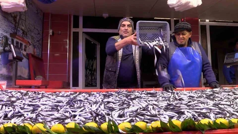 Bolu'da Hamsi Fiyatları Düşüşte