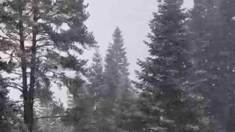 Ilgaz Dağı’nda Kar Yağışı Başladı