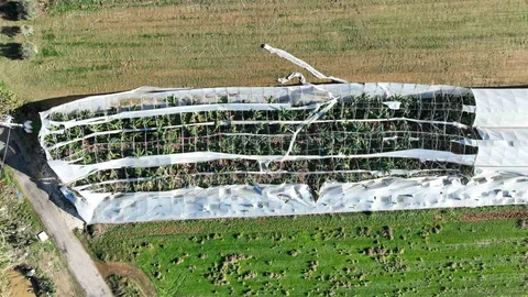 Antalya'da Hortum Zararları Belgelendi