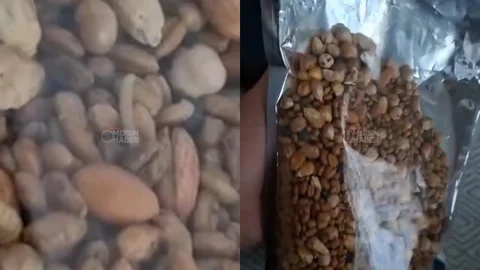 Mersin’de Hamile Kadının Yaşadığı Gıda Skandalı: İçinden Canlı Kurt Çıktı