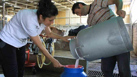 Bursa'da Süt Üreticileri Fiyat Güncellemesi Talep Ediyor