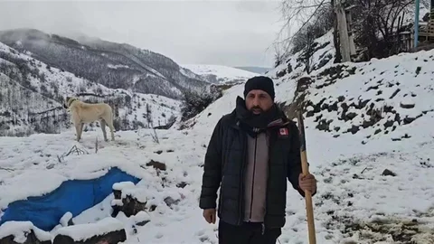 Erzincan Refahiye'de Kar Yağışı Etkili Oldu