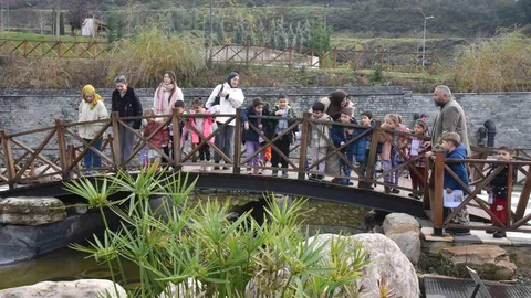 Minik Öğrenciler Bitkileri Öğreniyor