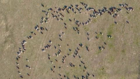 Muş'ta Kar Yağışı Olmadı