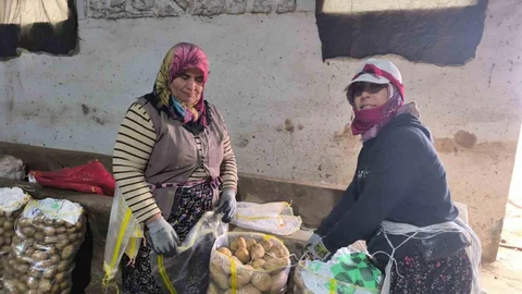 Afyonkarahisar'da Patates Depolama Süreci Başladı
