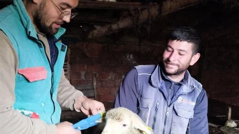 Pınarhisar’da Küçükbaş Hayvan Kontrolü