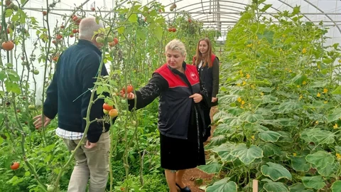 Kırklareli'nde Sera Kontrolleri Yapıldı