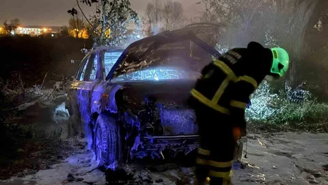 Sakarya'da Tarlada Yangın Çıktı