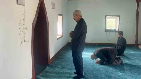 Diyarbakır'daki Cami Duvarında Bitki Yeşerdi