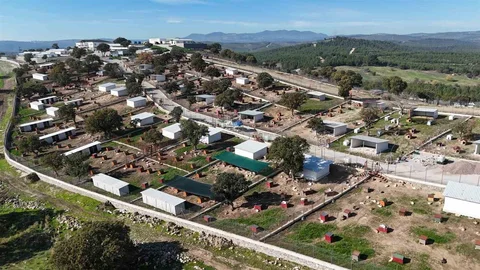 Yunusemre'de Sokak Hayvanları İçin Yaşam Merkezi