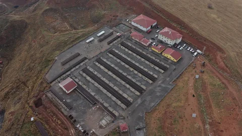 Sivas'ta Sokak Hayvanları İçin Dönüşüm Başlıyor