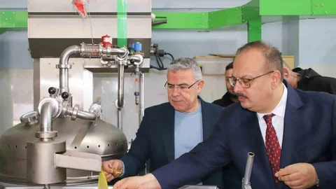 Aydın'da Zeytinyağı Üretimi İncelemesi