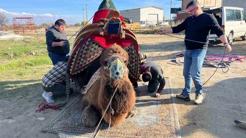 Şampiyon Devenin Havudu Dualarla Takıldı