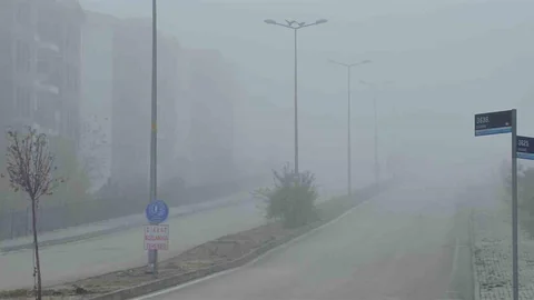 Elazığ'da Yoğun Sis Etkili Oldu